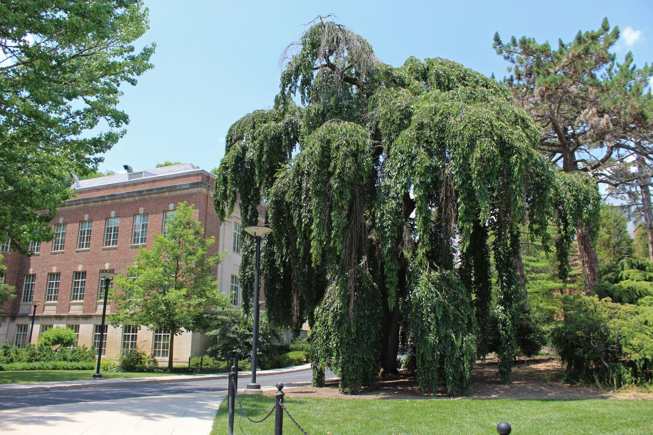 Henderson Building collegian.psu.edu