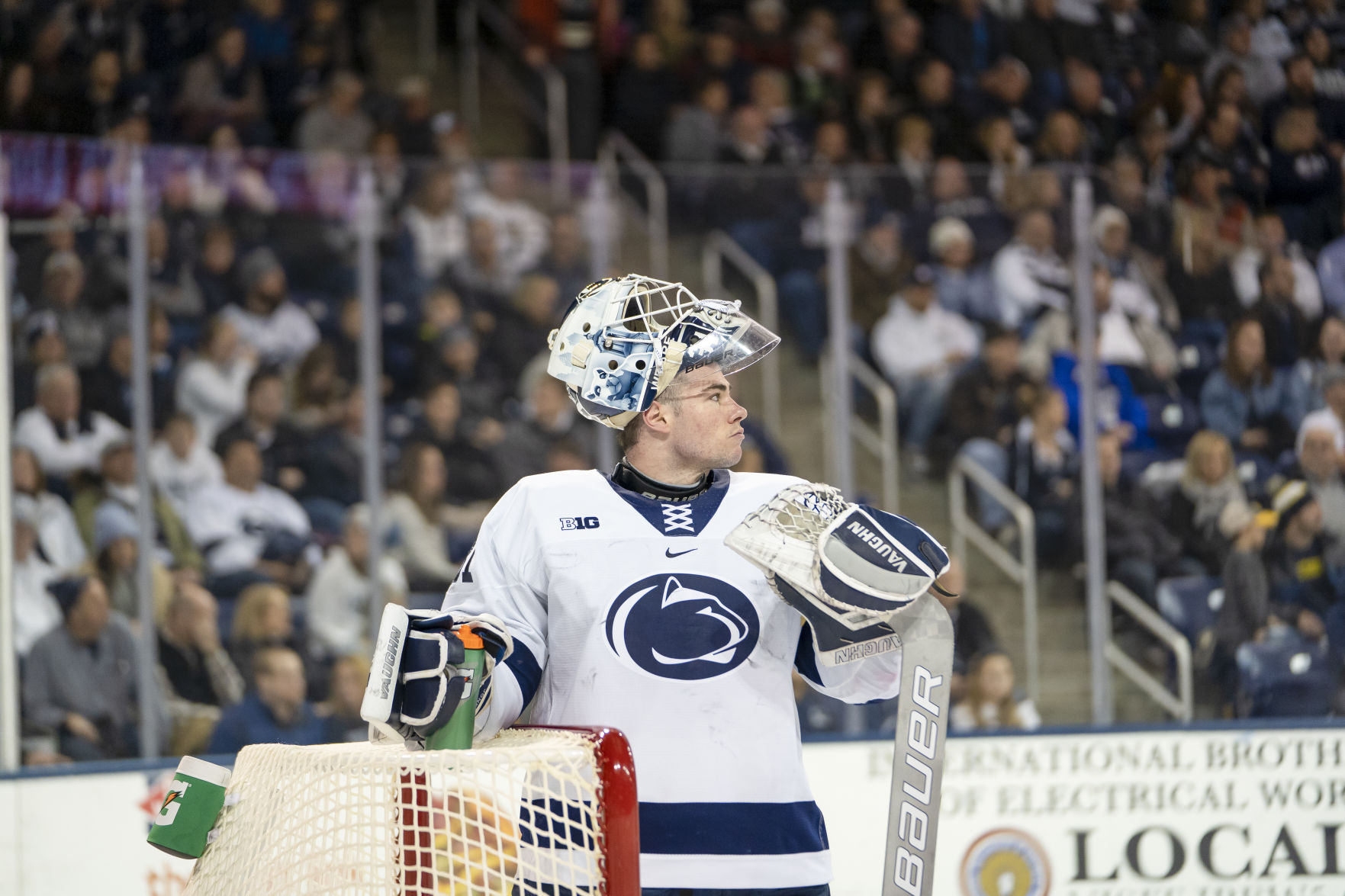 penn state 31 jersey