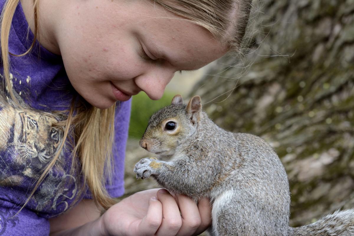 Squirrel Meets World Photo Stories collegian.psu.edu