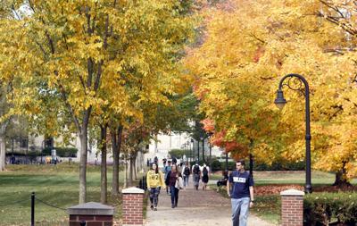 Will Students Take A Gap Semester If Penn State Continues Remote Learning In The Fall University Park Campus Penn State Daily Collegian Collegian Psu Edu