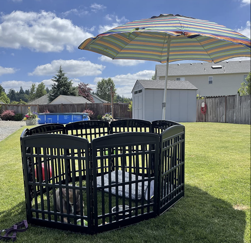 The Best Portable Dog Fence For Camping? Our 10 Favorite Temporary Dog