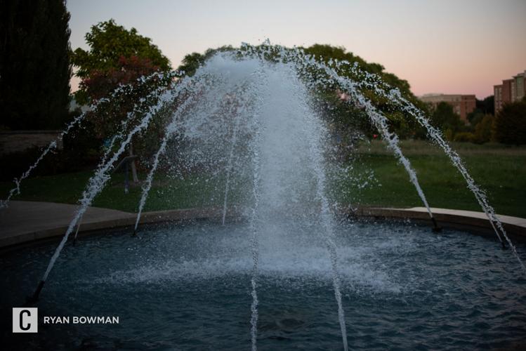Arboretum Fountain feature