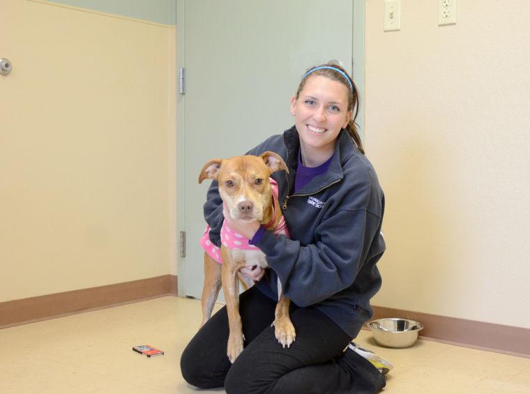 Centre County PAWS offers forever homes to cats and dogs State