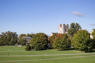 Drillfield in the fall
