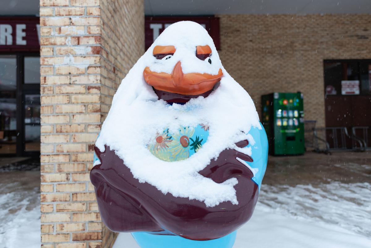 Vt Winter Storm Diego Gallery Collegiatetimes Com