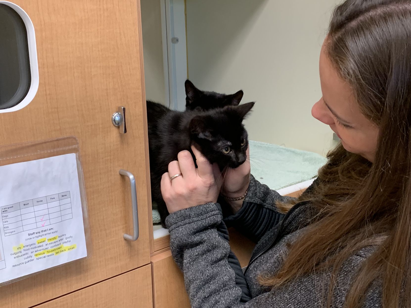 montgomery adoption center