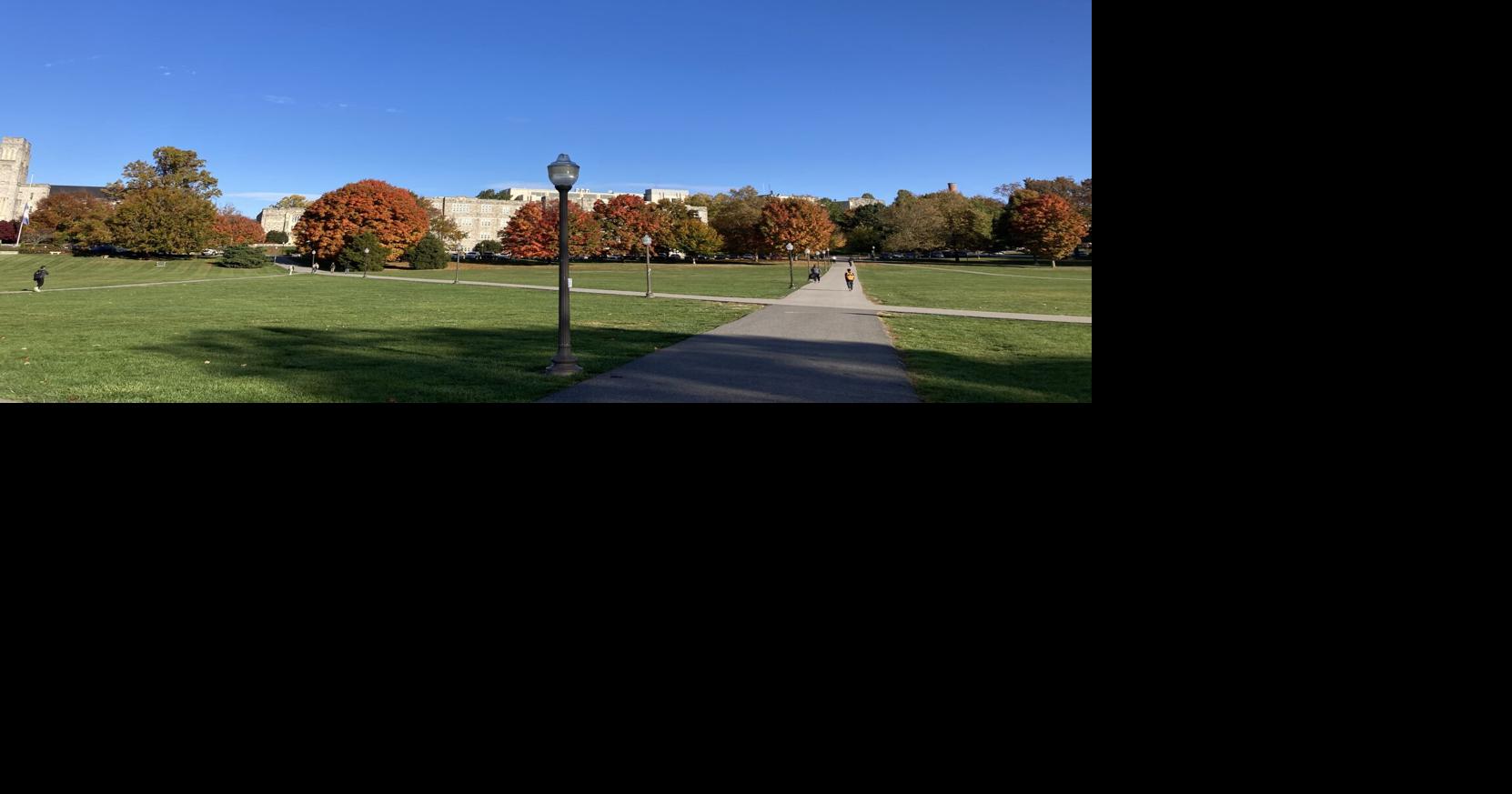 Fralin Biomedical Research Institute hosts annual Brain School