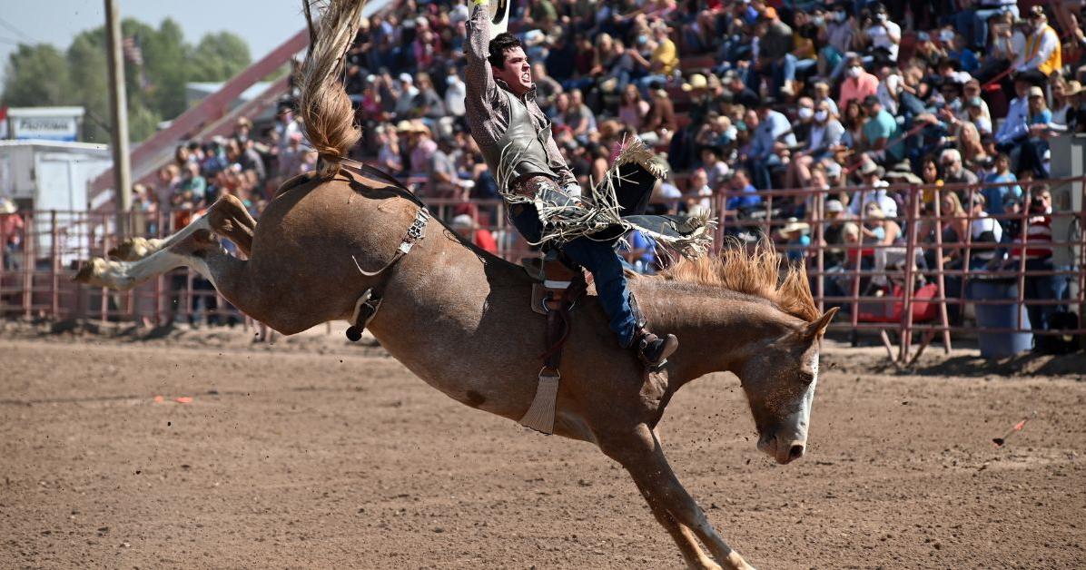 3 Ways Hispanic Vaqueros Influenced Rodeo | History ...