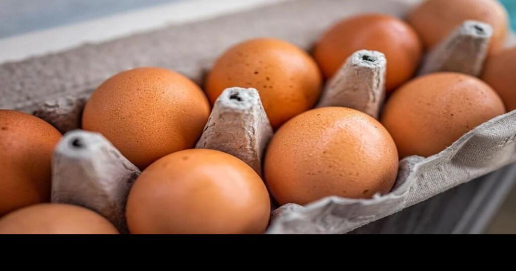 January’s new egg mandate will burden the poor | Colorado Springs Gazette