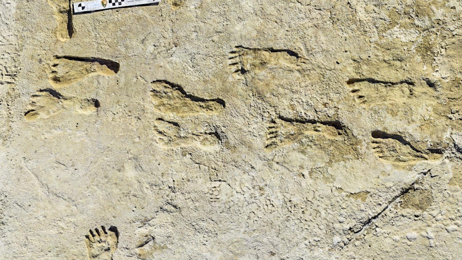 Evidence points to footprints in New Mexico as oldest sign of humans in Americas | OUT WEST ROUNDUP | News | coloradopolitics.com