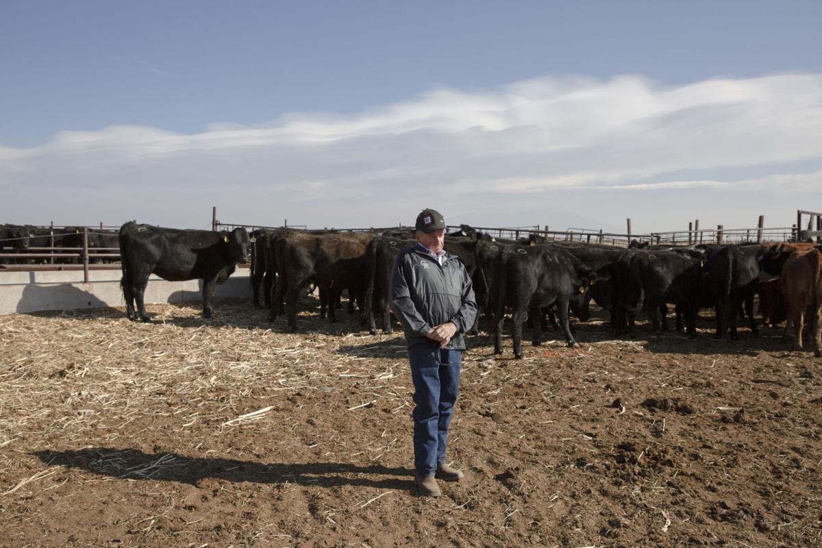 Beef sales remain strong despite pandemic issues - Texas Farm Bureau