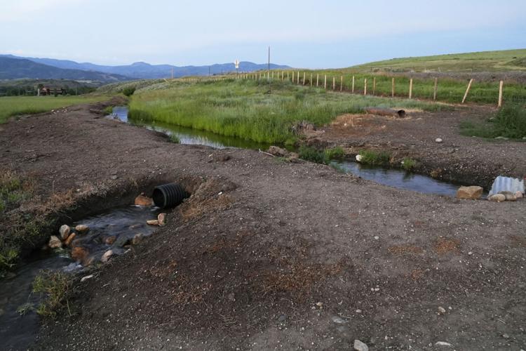 Ranchers Drought