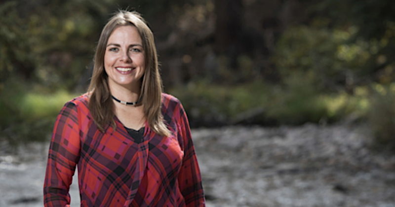 www.coloradopolitics.com