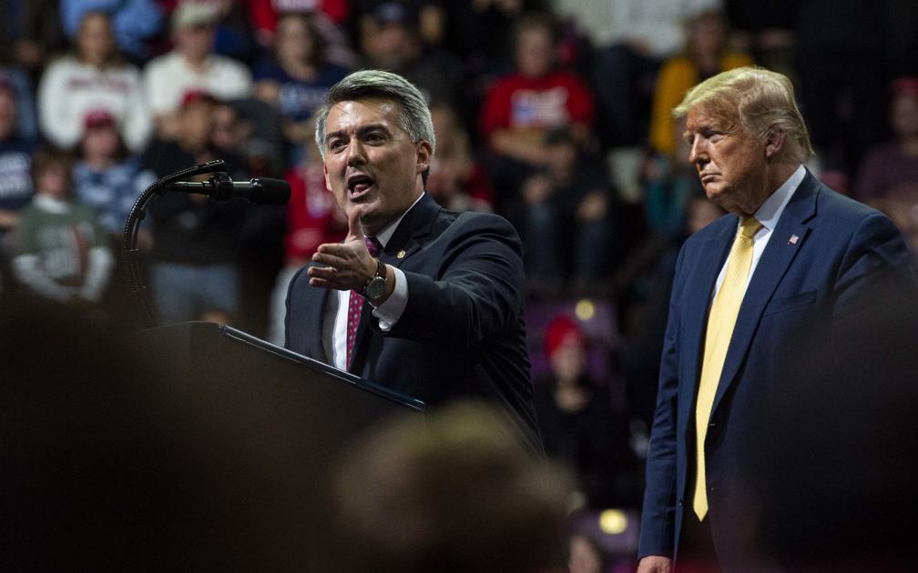 'My Complete and Total Endorsement': Trump heaps praise on Gardner