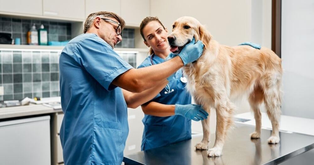 Proposition 129: A contentious bill for animal care | Elections
