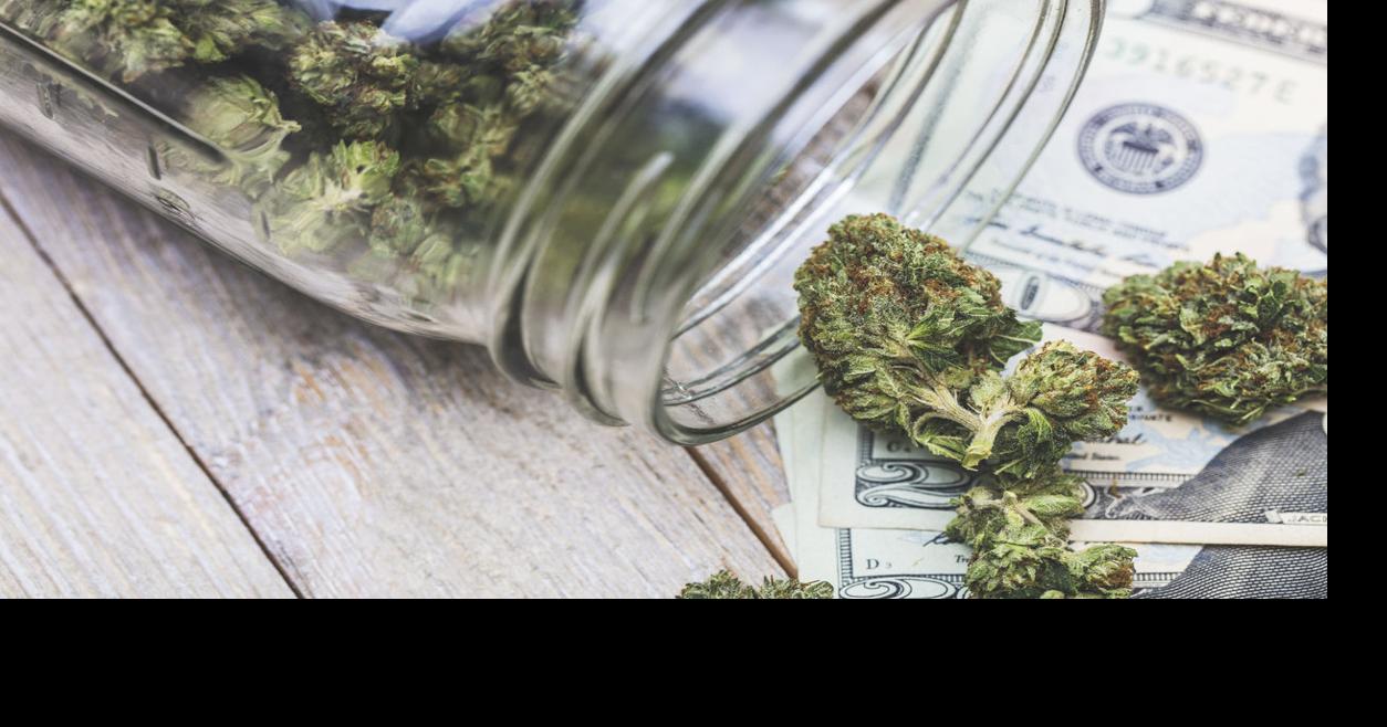 Report: 4 counties in Colorado are cultivating nearly 8 in 10 marijuana plants | News | coloradopolitics.com