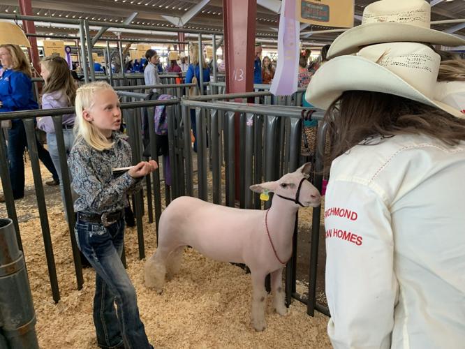 Pikes Peak Posse, Denver Rustlers score at Colorado State Fair