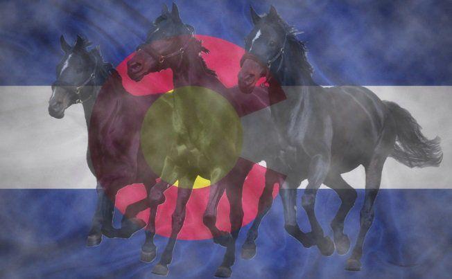 Cover Story Colorado S Dark Horses What Makes Non Major Party
