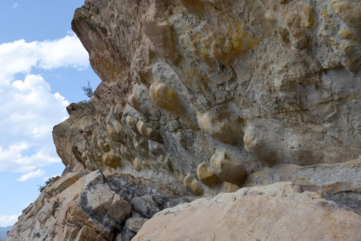 5 places to see dinosaur tracks in Colorado Artsentertainment