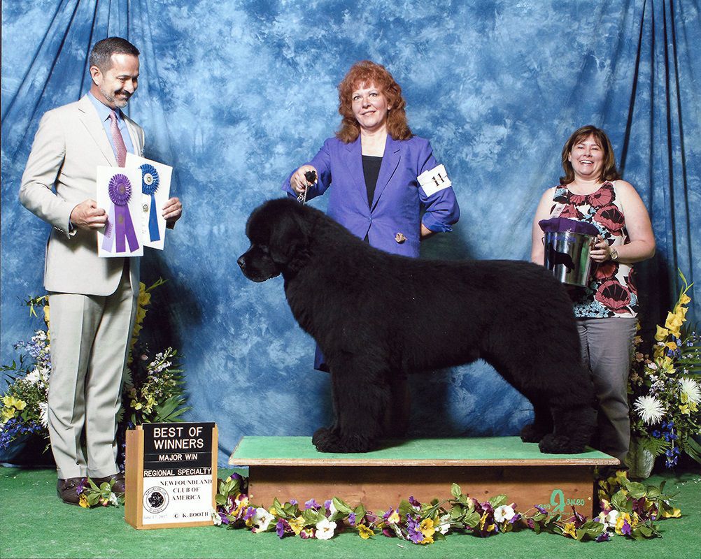 More than 1,000 dogs competing at Colorado Springs dog show Ae