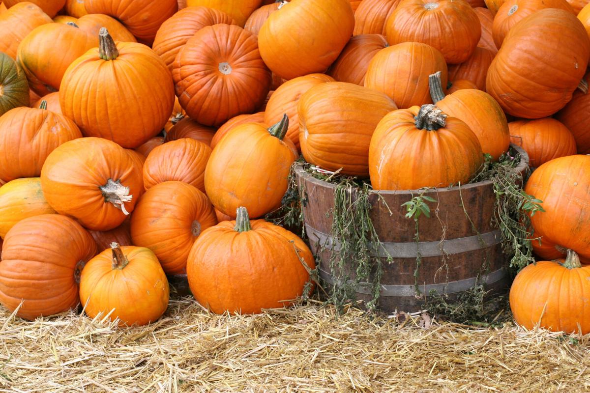 2020 Halloween events and fall festivals in and around the Colorado