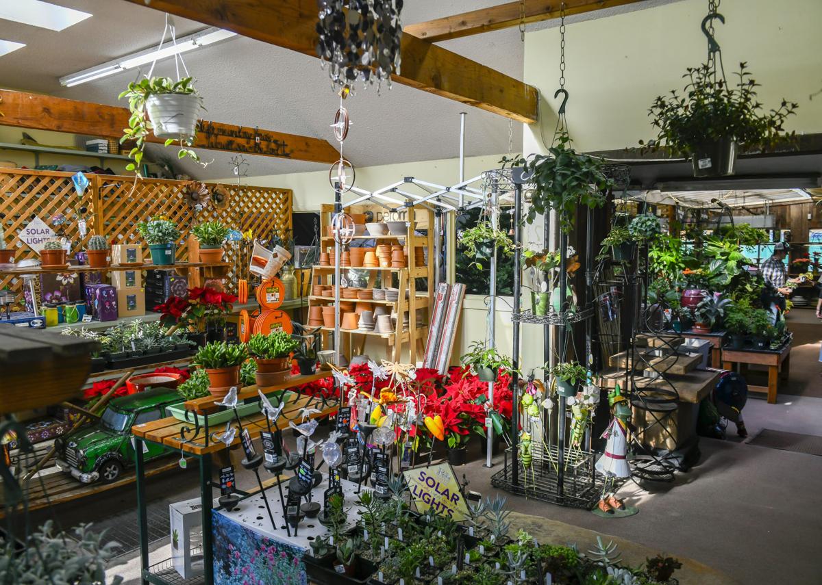 Colorado Springs garden centers remain open, see increased seed buying