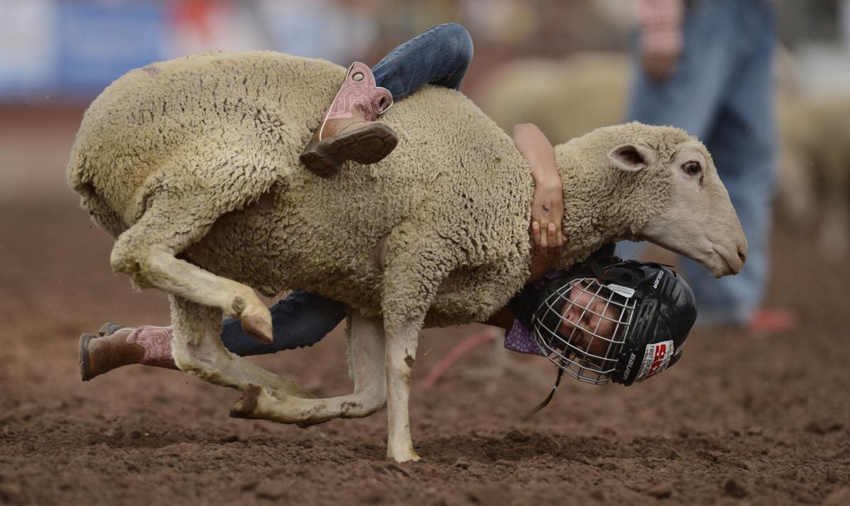 The Pikes Peak Rodeo or Bust is off, but mutton bustin' lives on in ...