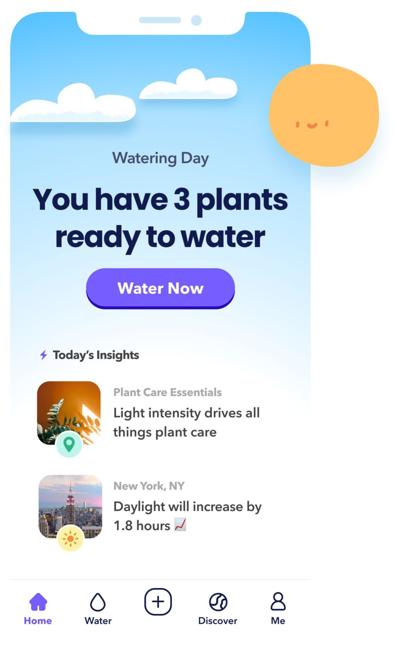 0705 plant.jpg
