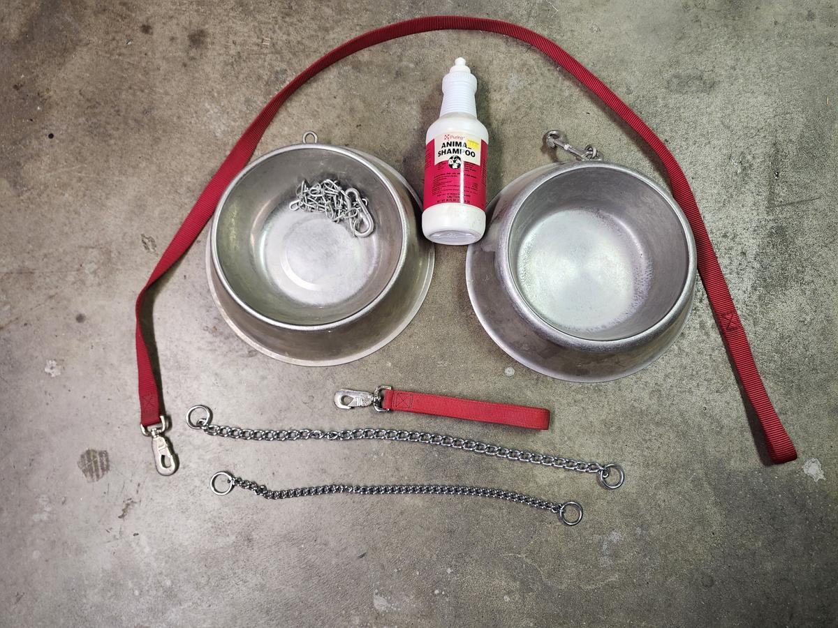 Dog Accessories - $15 for All image 1