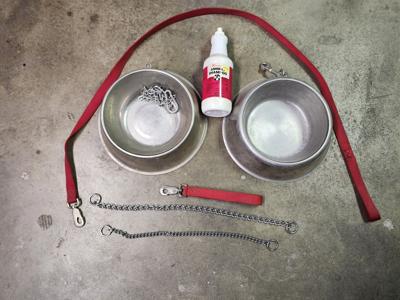 Dog Accessories - $15 for All image 1