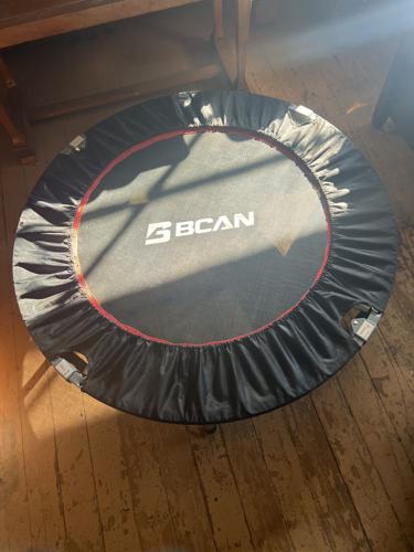 Rebounder image 1