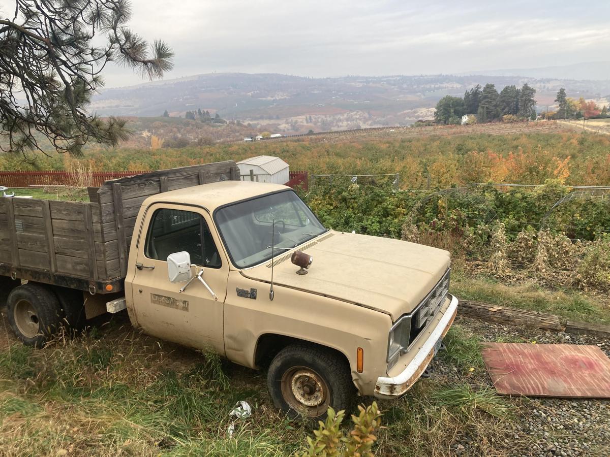 1978 Chevrolet C29 3/4 ton dump truck (runs good but needs tlc). $2500 ph 541 298 2687 image 1
