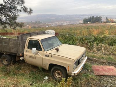 1978 Chevrolet C29 3/4 ton dump truck (runs good but needs tlc). $2500 ph 541 298 2687 image 1