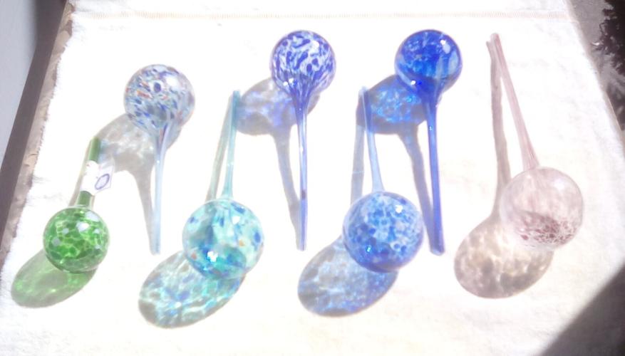 Plant glass water globes image 1