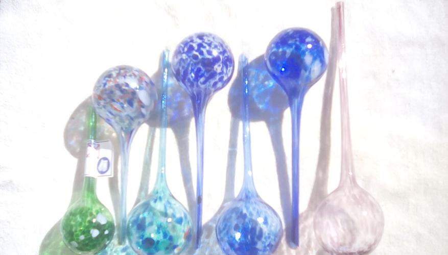 Plant glass water globes image 2