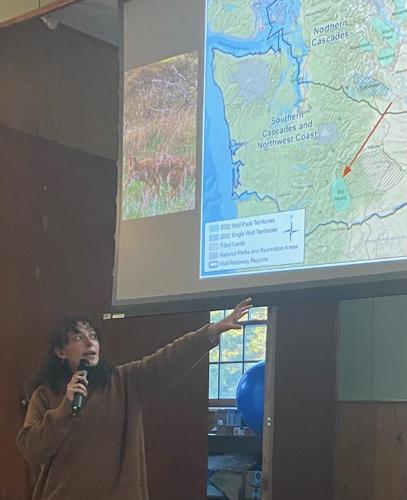 WILD ABOUT NATURE wolves.jpg