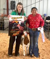 Glenwood News: Local kids shine at Klickitat Co. Fair