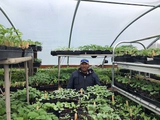 A12 NDI column Raices program.jpg