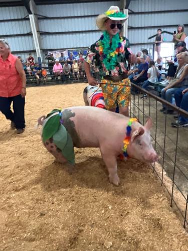 Klickitat Co. Fair