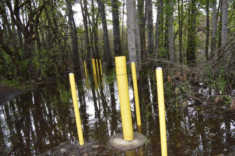 Mosier derailment: No pollution in Columbia, groundwater tests continue