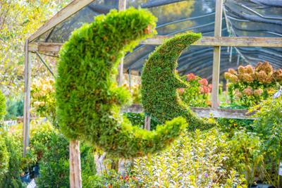 Moon Valley Nurseries Surpasses 50 Locations Nationwide, Launches Tree Care Division