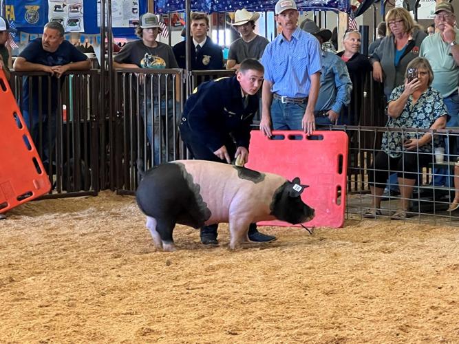 Klickitat Co. Fair
