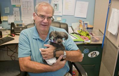 Dog saved by online generosity