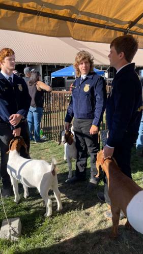 Klickitat Co. Fair