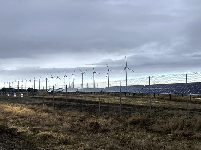 solar farm.JPG