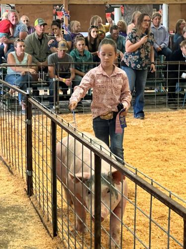 Klickitat Co. Fair