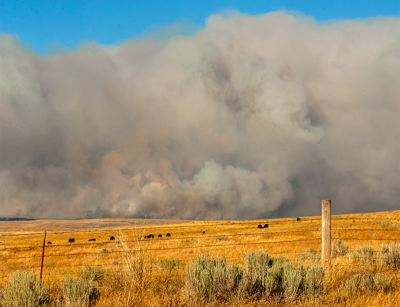 Local fire sparks evacuations