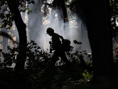 Firefighter