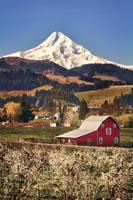 Barns project turns into legacy