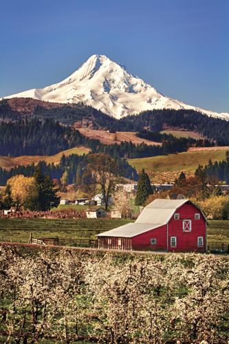 Barns project turns into legacy